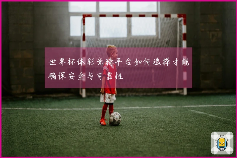 世界杯体彩竞猜平台如何选择才能确保安全与可靠性