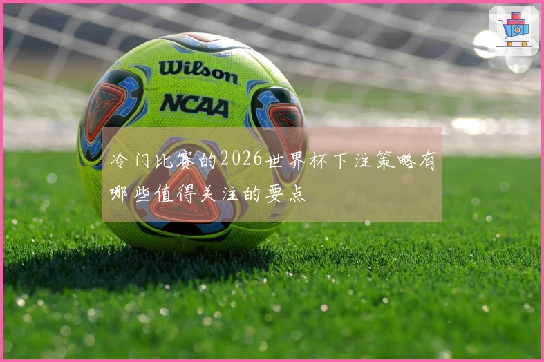 冷门比赛的2026世界杯下注策略有哪些值得关注的要点