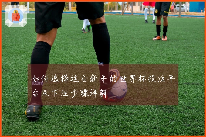 如何选择适合新手的世界杯投注平台及下注步骤详解