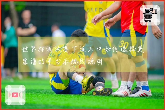 世界杯淘汰赛下注入口如何选择更靠谱的平台和规则说明