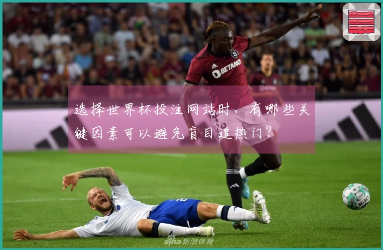 选择世界杯投注网站时，有哪些关键因素可以避免盲目追热门？