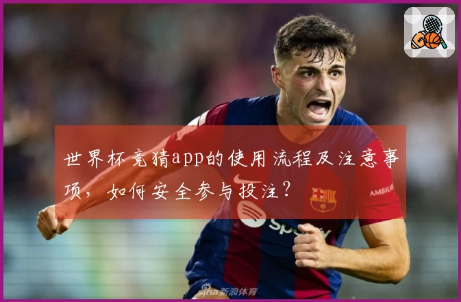 世界杯竞猜app的使用流程及注意事项，如何安全参与投注？