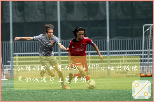 如何判断世界杯投注APP小组出线结果的依据与注意事项