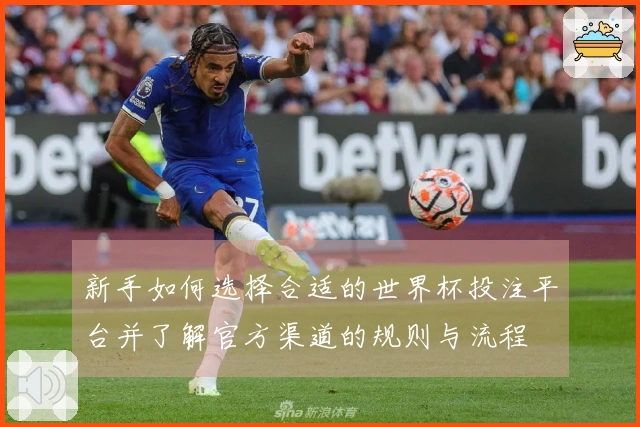 新手如何选择合适的世界杯投注平台并了解官方渠道的规则与流程