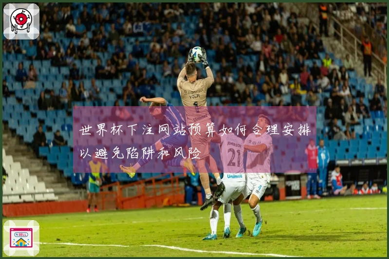 世界杯下注网站预算如何合理安排以避免陷阱和风险