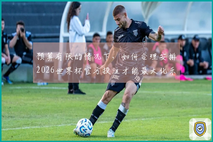 预算有限的情况下，如何合理安排2026世界杯官方投注才能最大化乐趣和收益？
