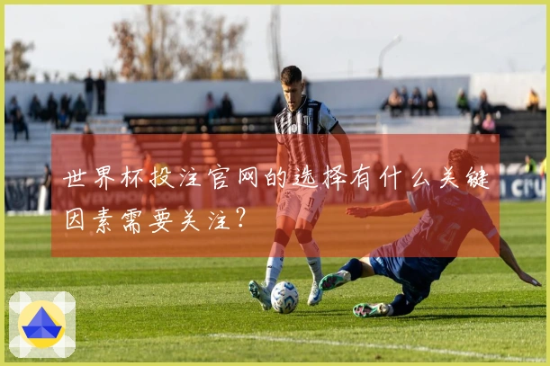世界杯投注官网的选择有什么关键因素需要关注？
