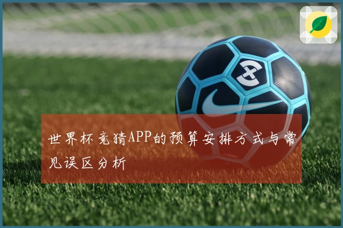 世界杯竞猜APP的预算安排方式与常见误区分析