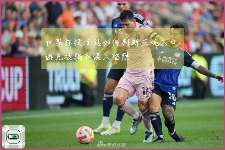 世界杯投注站如何判断正规入口，避免被骗和误入陷阱