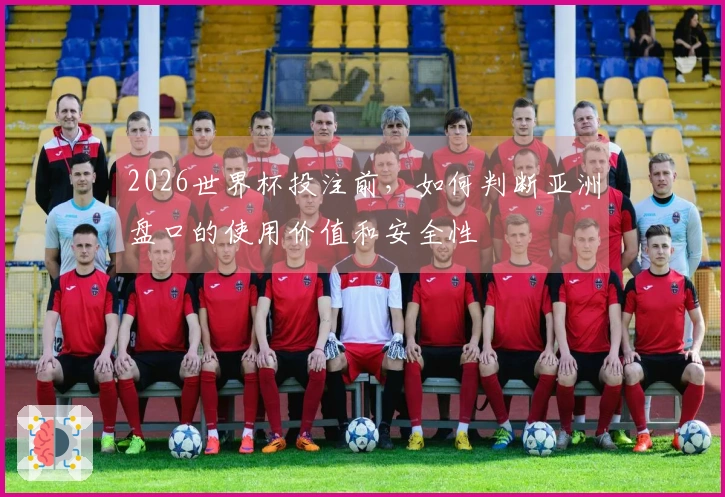 2026世界杯投注前，如何判断亚洲盘口的使用价值和安全性