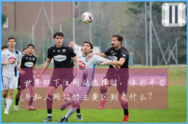 世界杯下注网站选择时，体彩平台与私人网站的主要区别是什么？