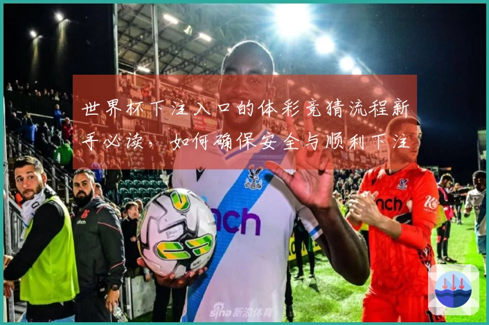 世界杯下注入口的体彩竞猜流程新手必读，如何确保安全与顺利下注？