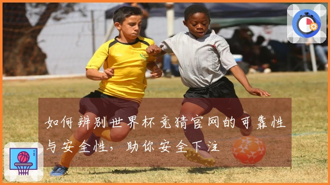 如何辨别世界杯竞猜官网的可靠性与安全性，助你安全下注