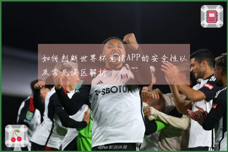 如何判断世界杯竞猜APP的安全性以及常见误区解析