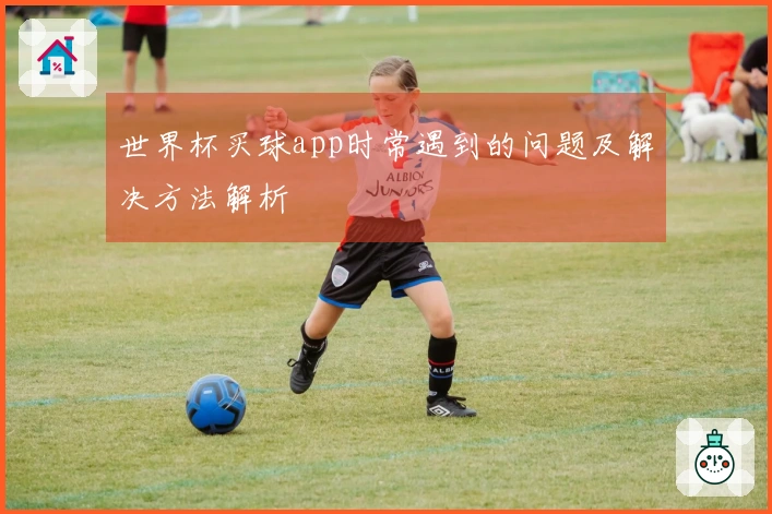 世界杯买球app时常遇到的问题及解决方法解析