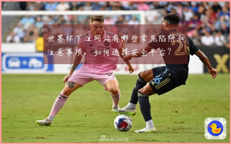 世界杯下注网站有哪些常见陷阱和注意事项，如何选择安全平台？