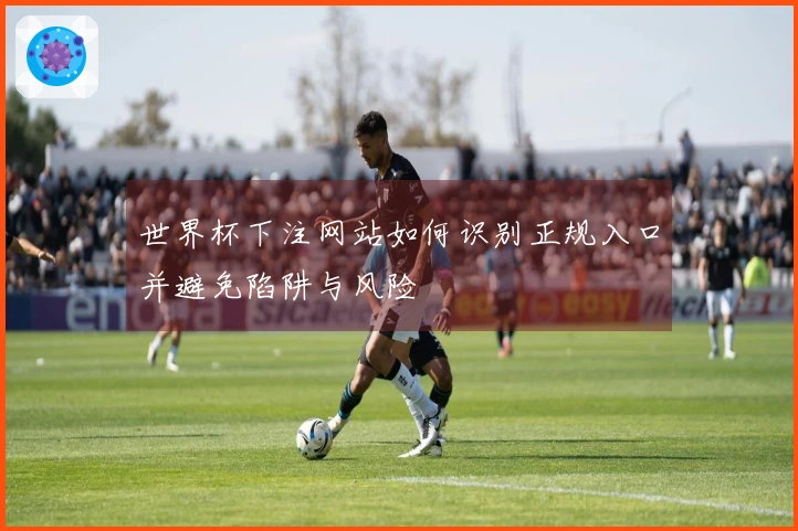 世界杯下注网站如何识别正规入口并避免陷阱与风险