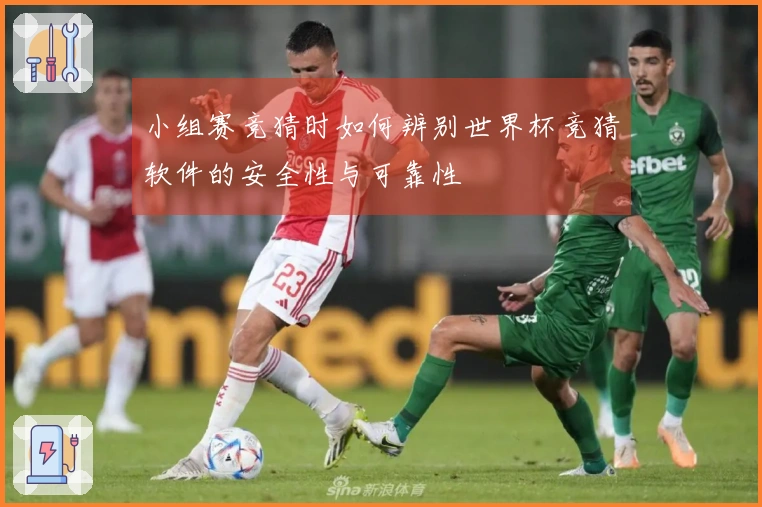 小组赛竞猜时如何辨别世界杯竞猜软件的安全性与可靠性