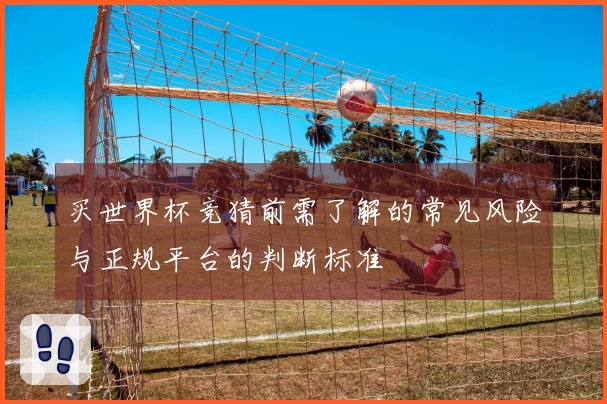 买世界杯竞猜前需了解的常见风险与正规平台的判断标准