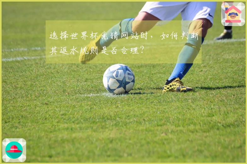 选择世界杯竞猜网站时，如何判断其返水规则是否合理？