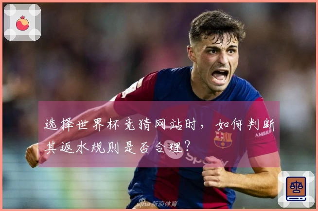 选择世界杯竞猜网站时，如何判断其返水规则是否合理？
