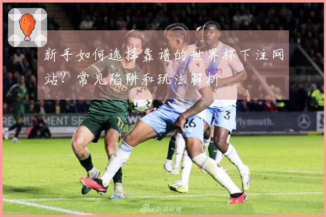 新手如何选择靠谱的世界杯下注网站？常见陷阱和玩法解析