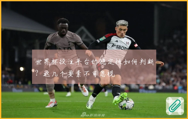 世界杯投注平台的稳定性如何判断？这几个要素不可忽视