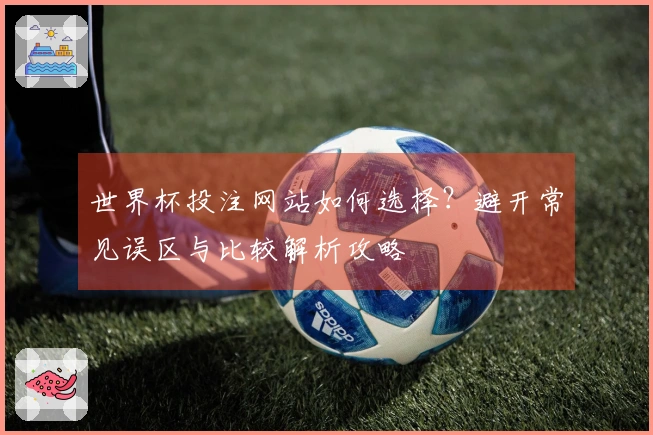 世界杯投注网站如何选择？避开常见误区与比较解析攻略