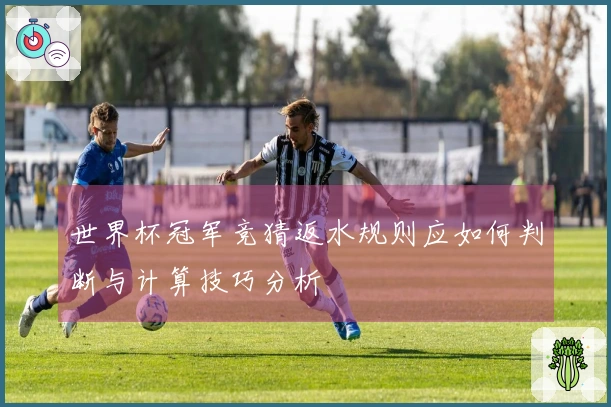 世界杯冠军竞猜返水规则应如何判断与计算技巧分析