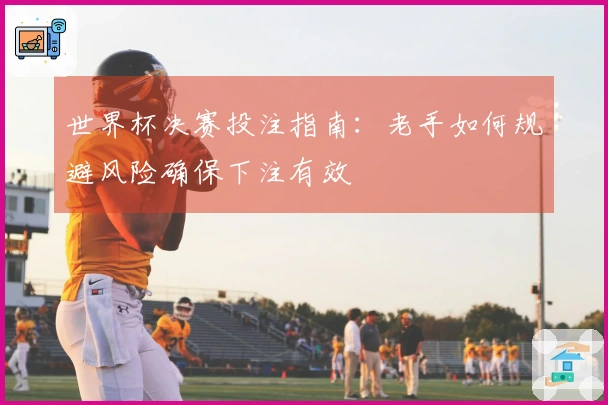 世界杯决赛投注指南：老手如何规避风险确保下注有效