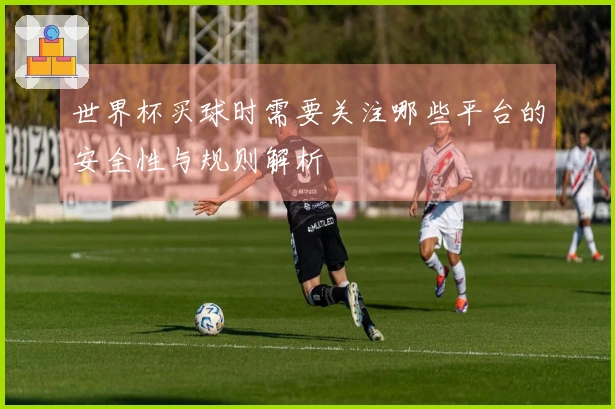 世界杯买球时需要关注哪些平台的安全性与规则解析