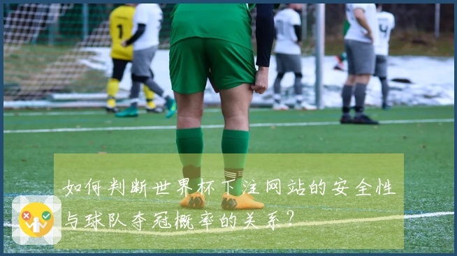 如何判断世界杯下注网站的安全性与球队夺冠概率的关系？
