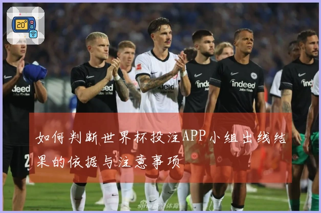 如何判断世界杯投注APP小组出线结果的依据与注意事项