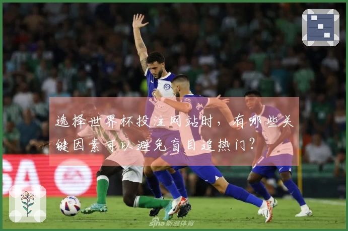选择世界杯投注网站时，有哪些关键因素可以避免盲目追热门？